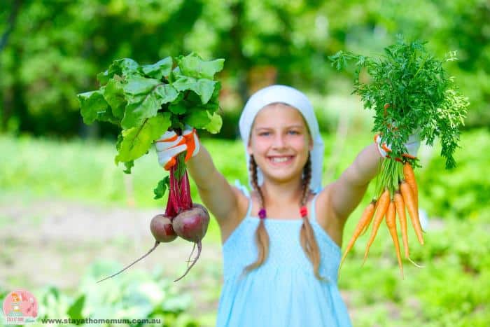 Young girl holding fresh beets and carrots in garden.