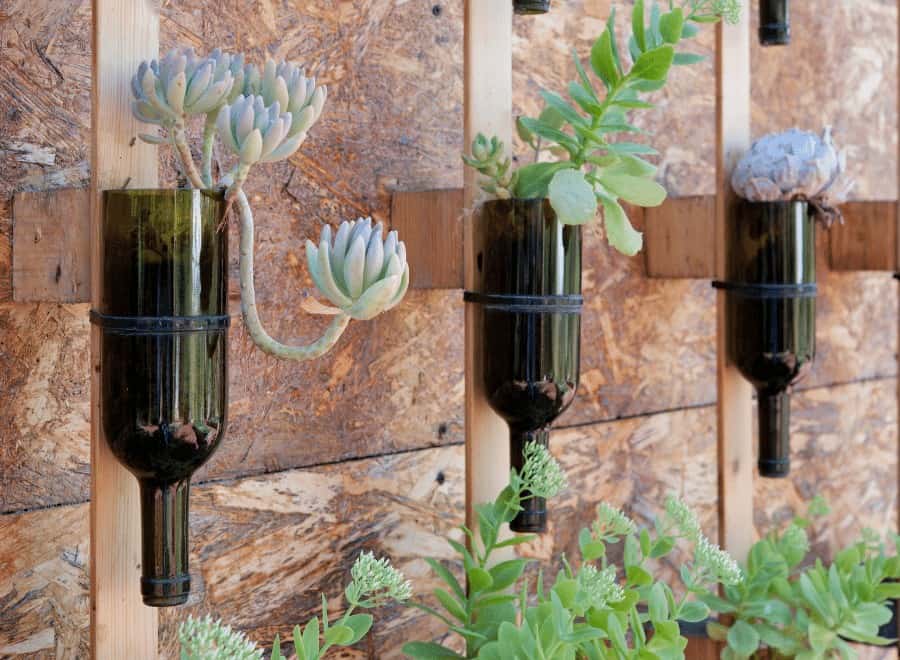 Recycled wine bottles used as plant holders for eco-friendly home decor ideas.