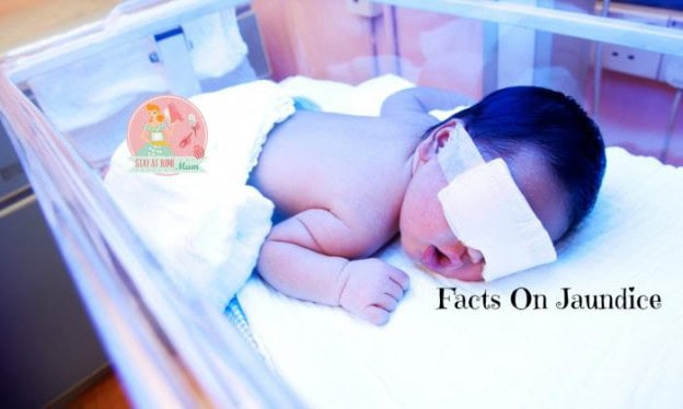 Facts On Jaundice