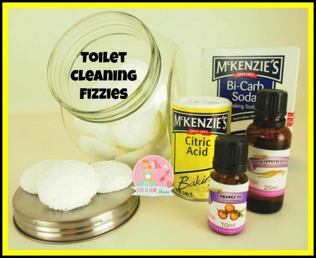 Toilet Cleaning Fizzies | Stay at Home Mum