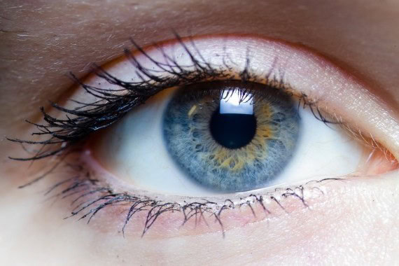 Baby's blue eye close-up showing iris details and eye colour genetics.