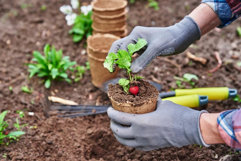 10 Ways To Dig $$$ Straight Out Of Your Garden