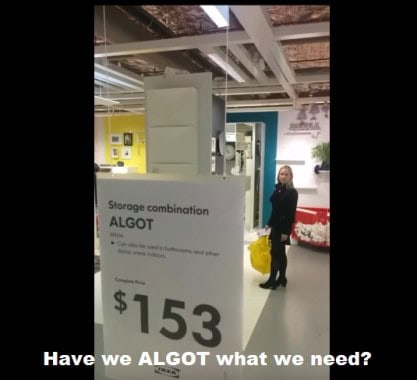 IKEA ALGOT storage system display with price tag and customer in store.