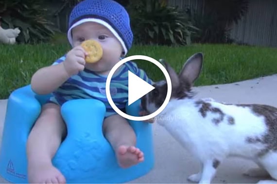 Adorable baby and playful bunny interaction, perfect for family fun and parenting tips.