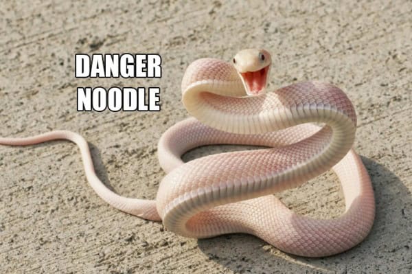 Beware of the Danger Noodle!