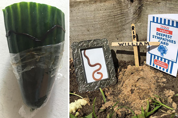 Man Makes Hilarious Complaint About a Dead Worm in a Cucumber He Bought at Tesco | Stay at Home Mum