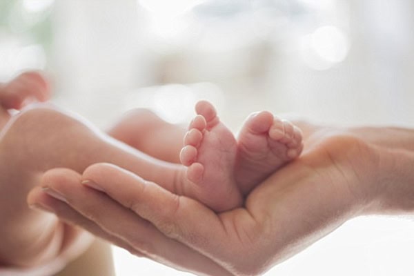 Baby's tiny feet held gently in an adult's hand, symbolizing hope and new beginnings.