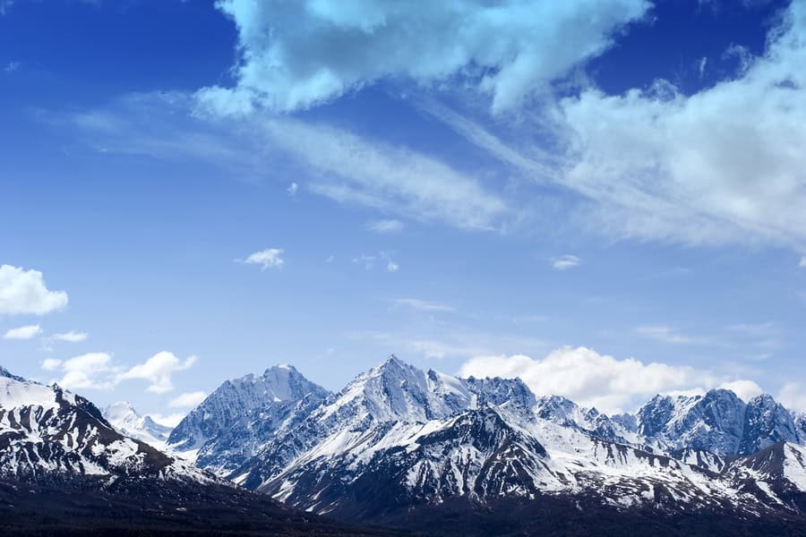 Australian Mum And Her Three Sons Rescued From -10�C Snowy Mountain in Japan