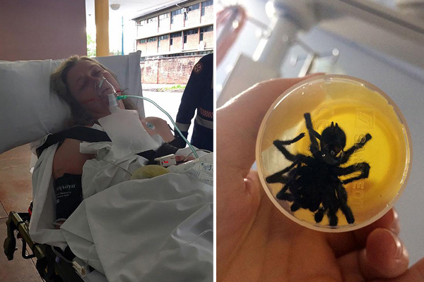 Mum Shares Her Miraculous Survival After She Was Bitten By Deadly Funnel Web Spider Stay At