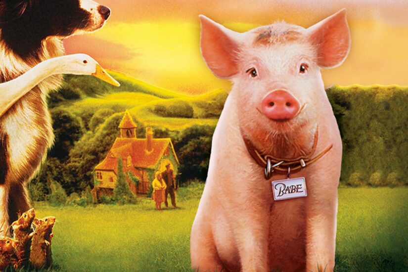 45+ Best Aussie Movies of All Time