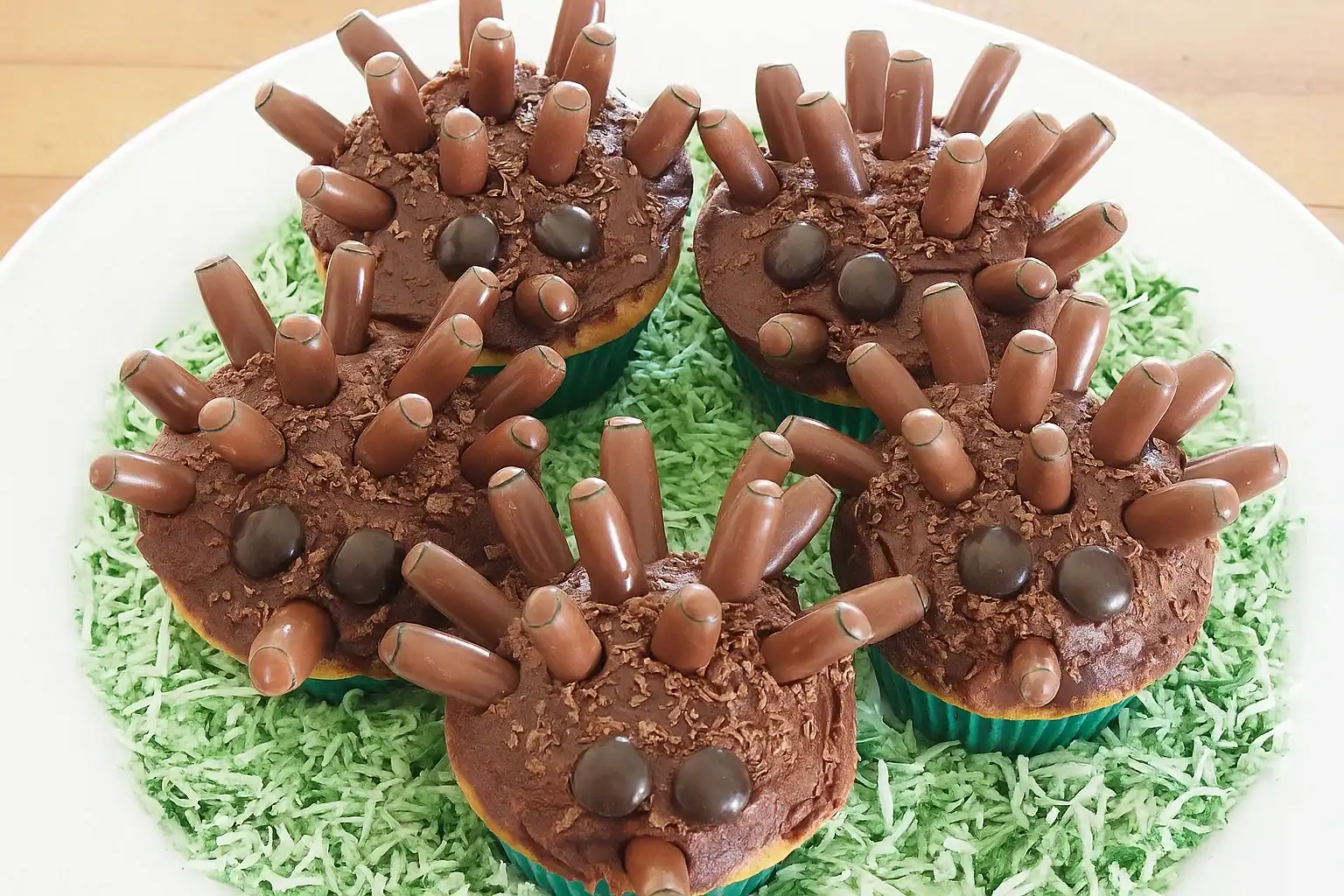 Echidna Cupcakes