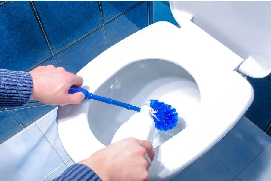 How to Make Your Toilet Bowl Sparkle Stay at Home Mum