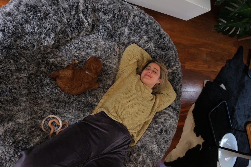 Giant human-sized bed with a woman relaxing and a small dog resting nearby. Perfect for comfort and.