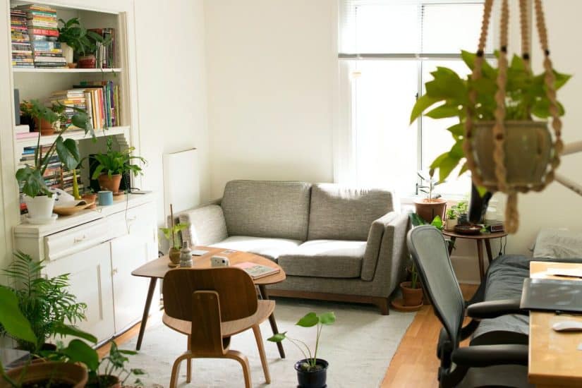 Efficient furniture arrangement for small spaces with a sofa, dining table, and plants.
